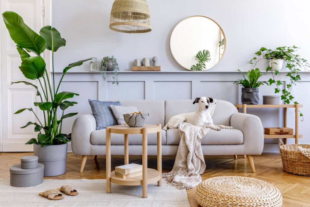 Interiorismo - Sala de estar